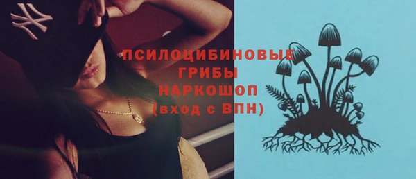 таблы Вяземский