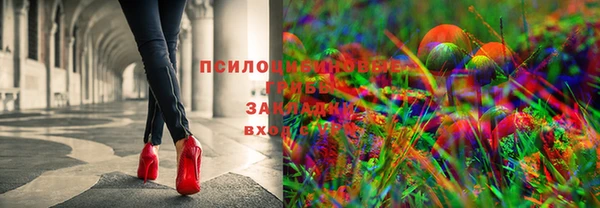 таблы Вяземский