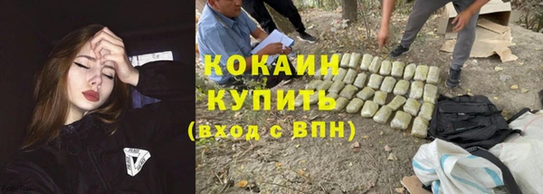 Альфа ПВП Вязьма