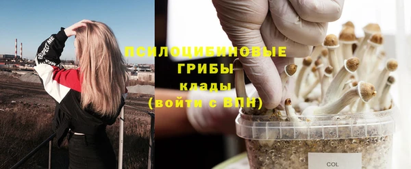 Альфа ПВП Вязьма