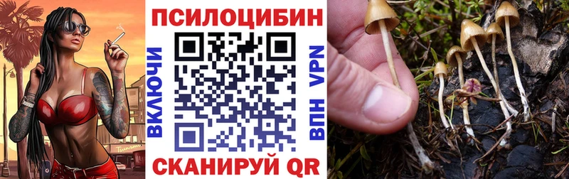 Купить  Калининск  Псилоцибиновые грибы Psilocybine cubensis 